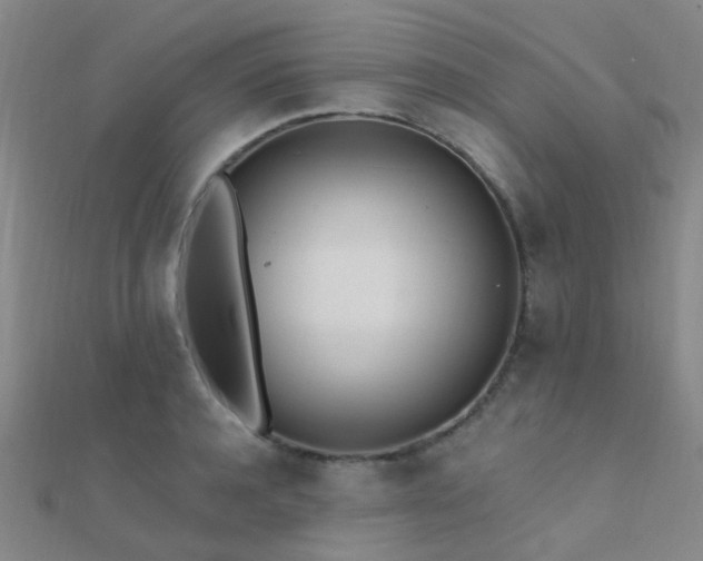 X0000112360944200908131452
