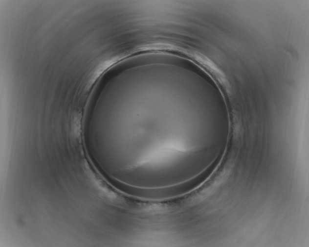 X0000112360945200908131452