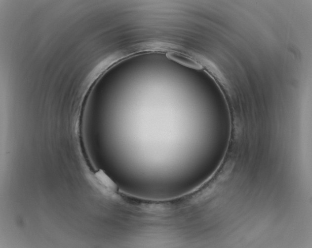 X0000112360946200908131452