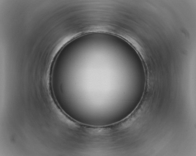 X0000112360949200908131452
