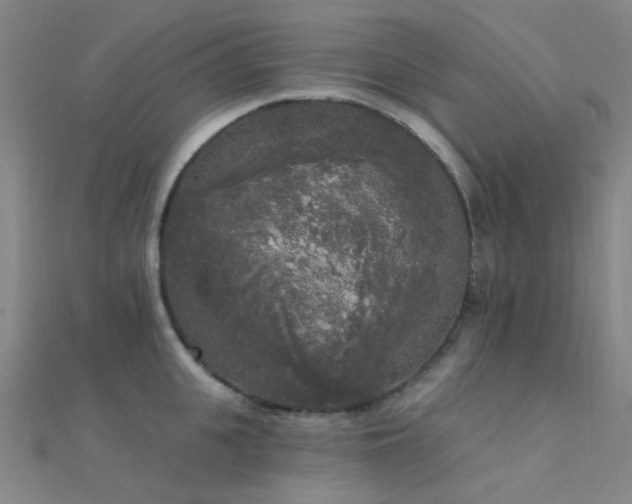 X0000112360951200908131452
