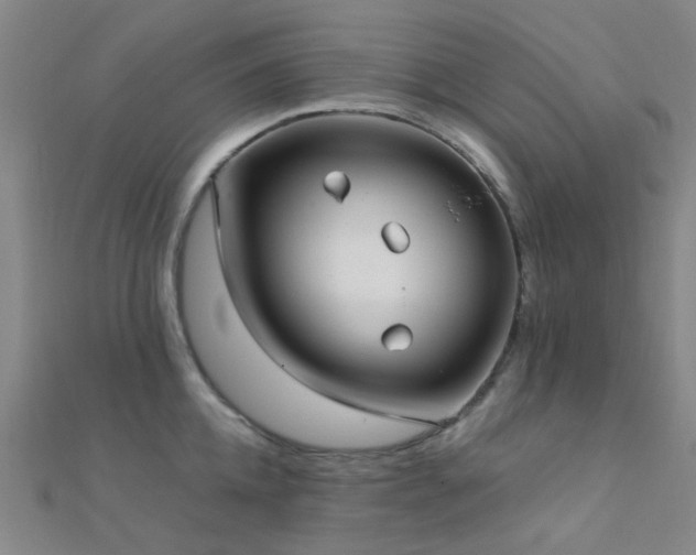 X0000112360952200908131452