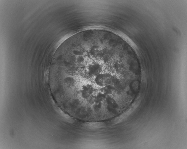 X0000112360953200908131453