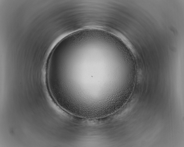 X0000112360955200908131453