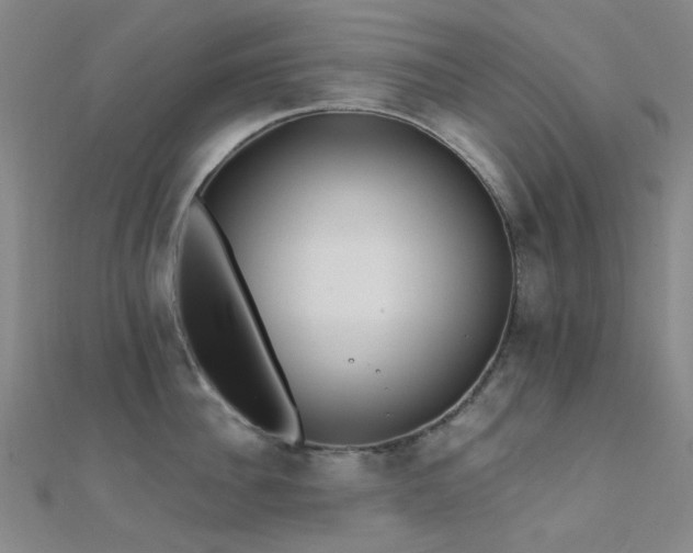 X0000112360956200908131453