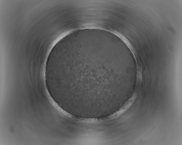 X0000112360957200908131453