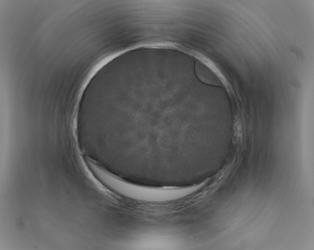 X0000112360959200908131453