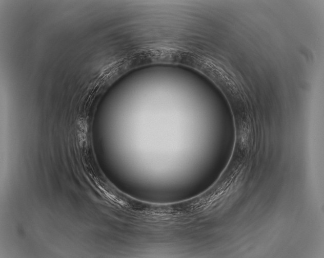 X0000112360964200908131452