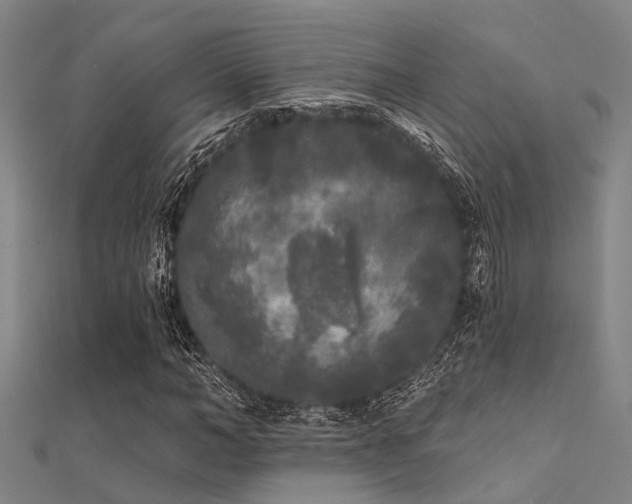 X0000112360966200908131452