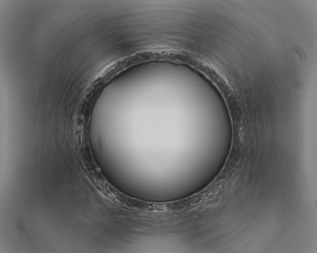 X0000112360968200908131452