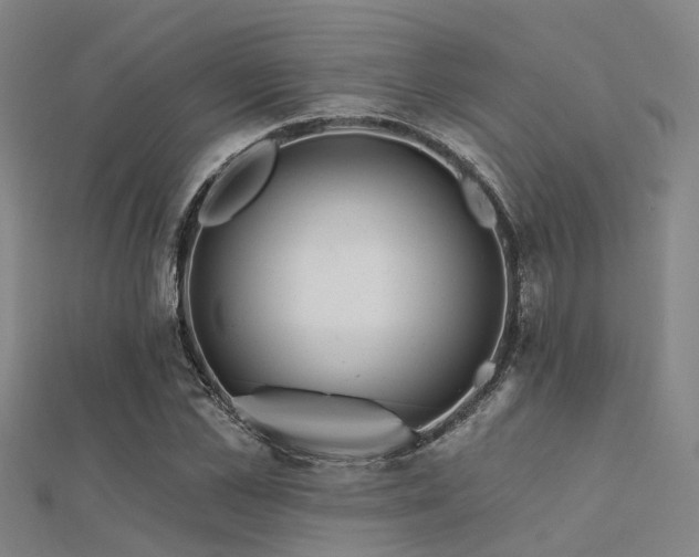 X0000112360973200908131452