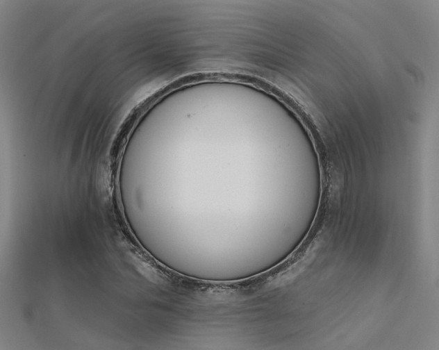X0000112360974200908131452