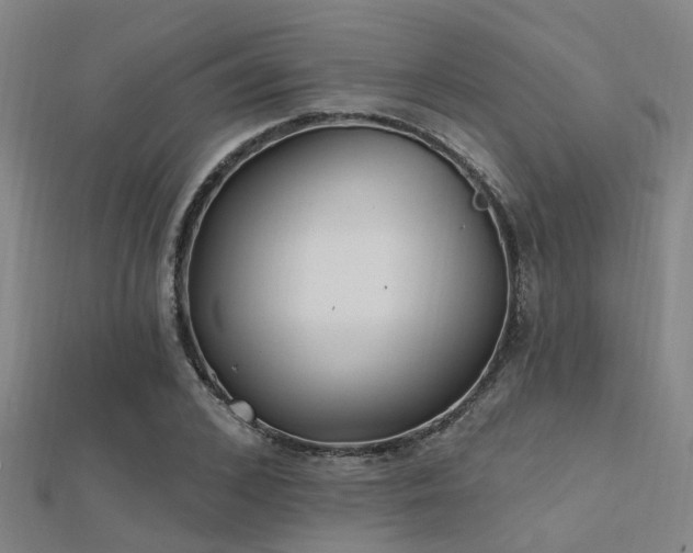 X0000112360976200908131452