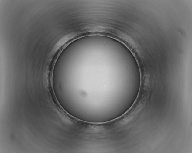 X0000112360978200908131452