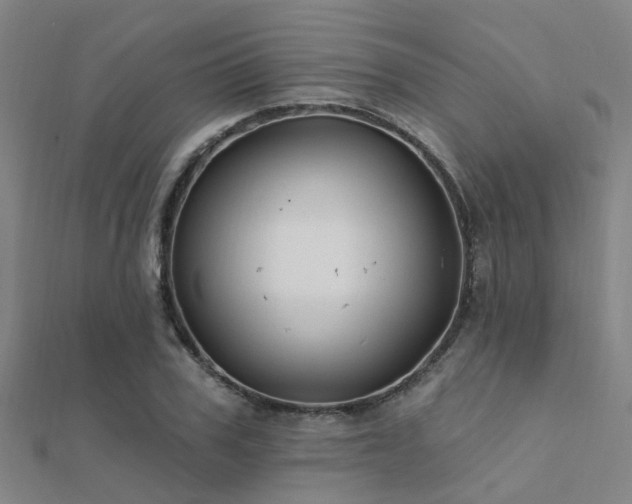 X0000112360979200908131452