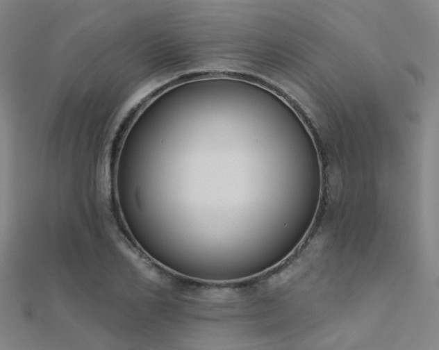 X0000112360982200908131452