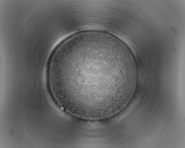 X0000112360983200908131452
