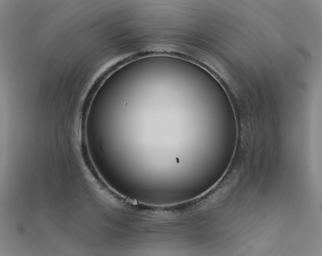 X0000112360984200908131452