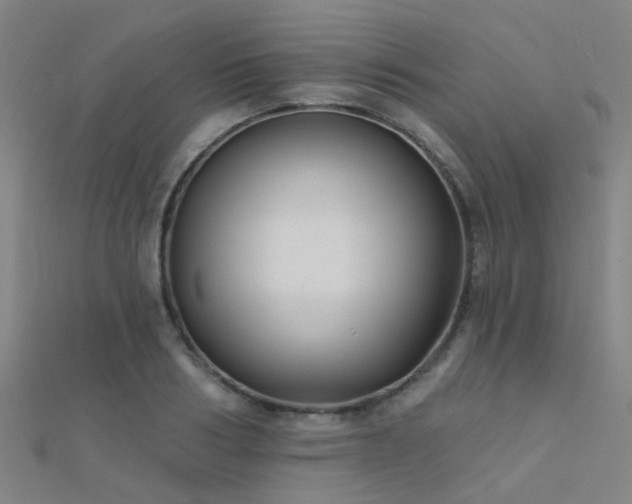 X0000112360986200908131452