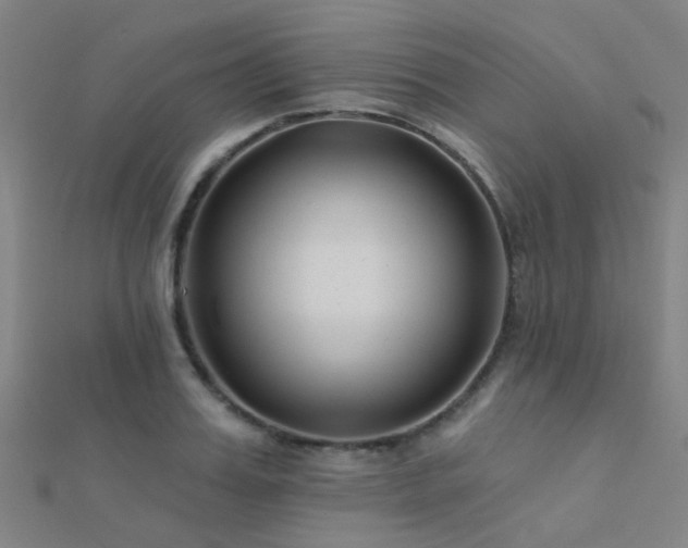 X0000112360987200908131452