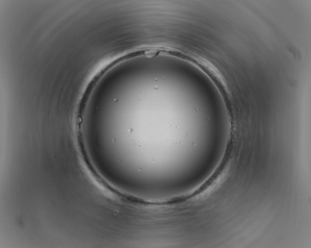 X0000112360989200908131452