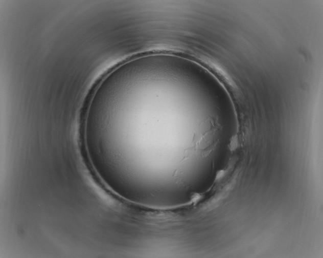 X0000112360991200908131452