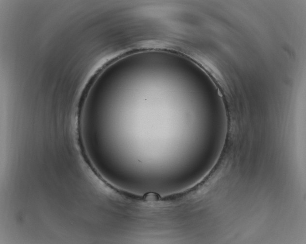 X0000112360992200908131452
