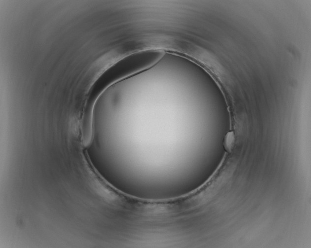 X0000112360993200908131452
