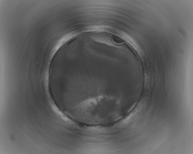 X0000112360994200908131452