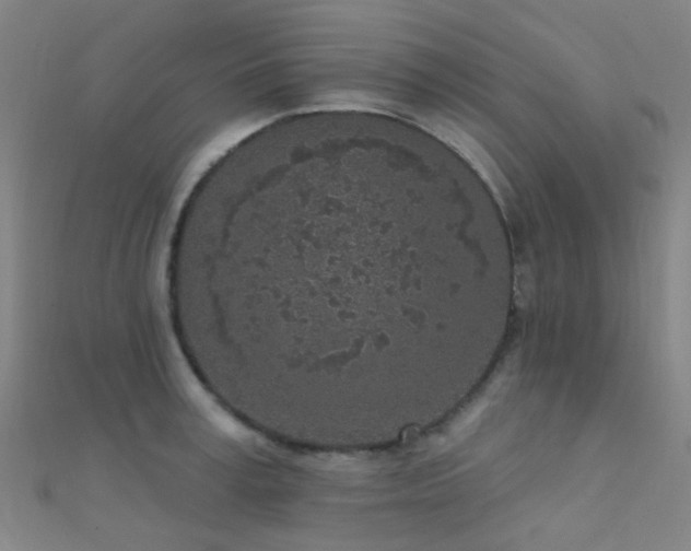 X0000112360995200908131452