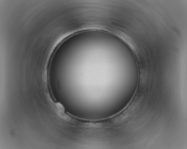 X0000112360996200908131452