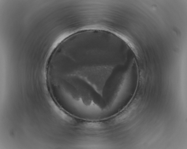 X0000112360998200908131452