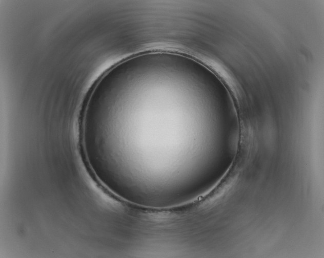 X0000112360999200908131451