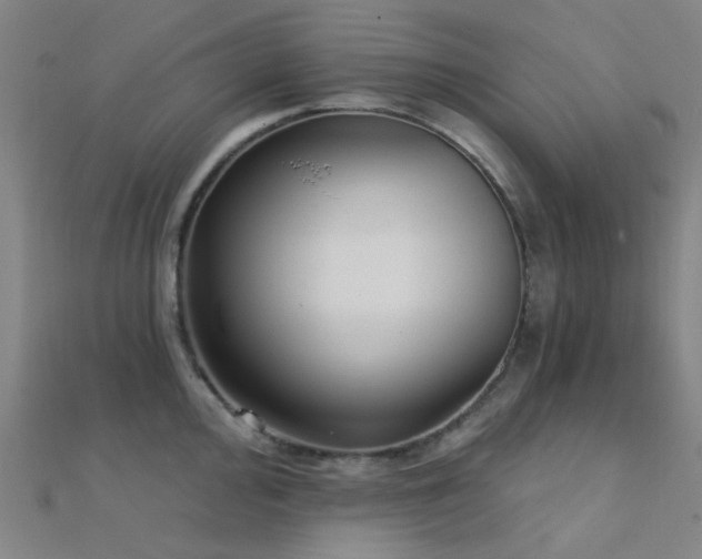 X0000112361000200908131451