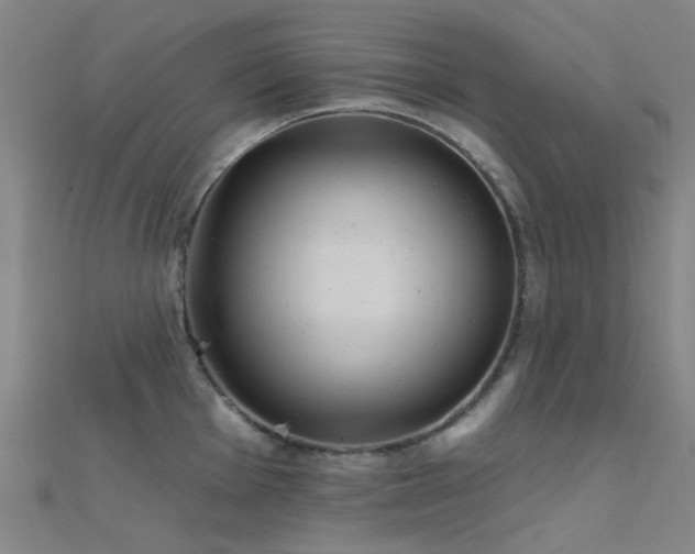 X0000112361001200908131451