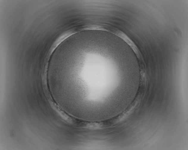 X0000112361002200908131451