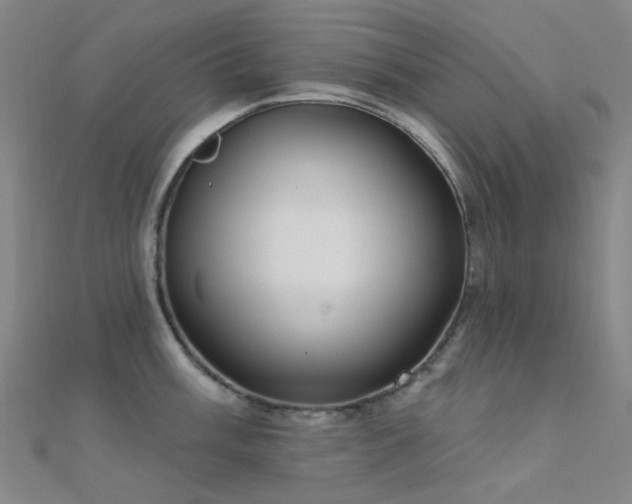 X0000112361003200908131451