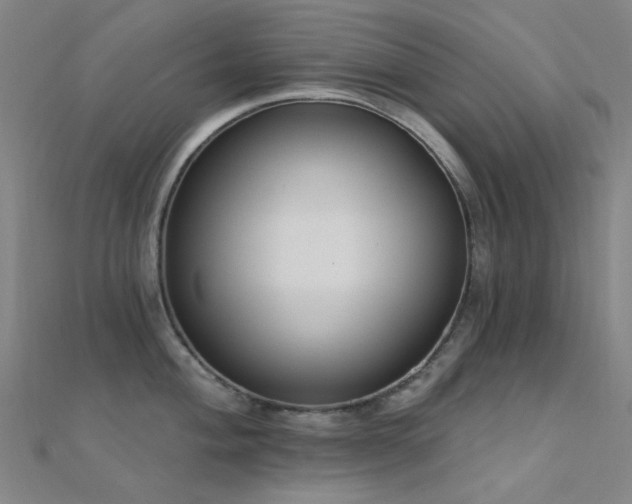 X0000112361004200908131451