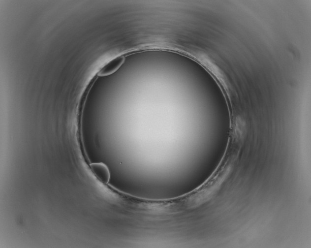 X0000112361005200908131451