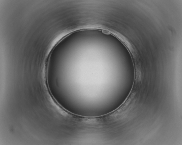 X0000112361006200908131451