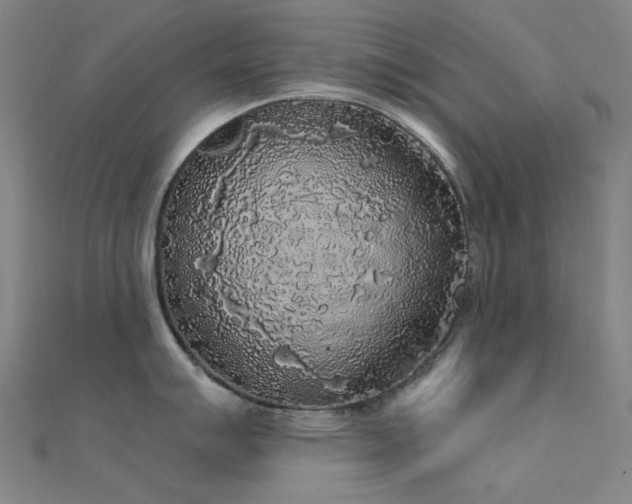 X0000112361007200908131451