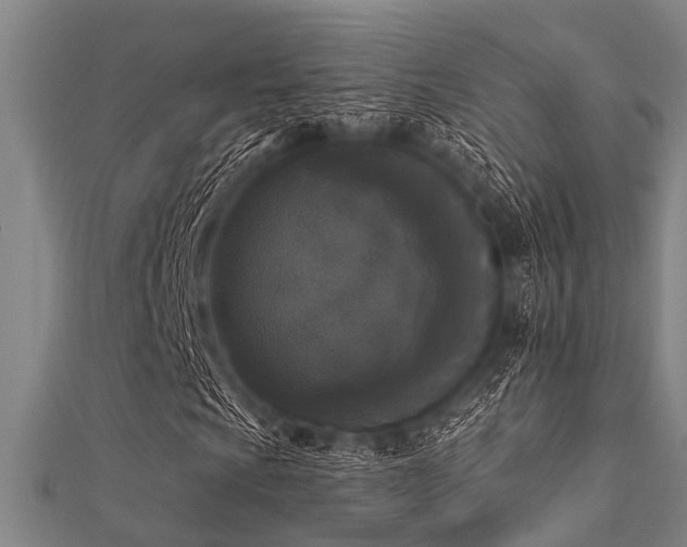 X0000112361009200908131451