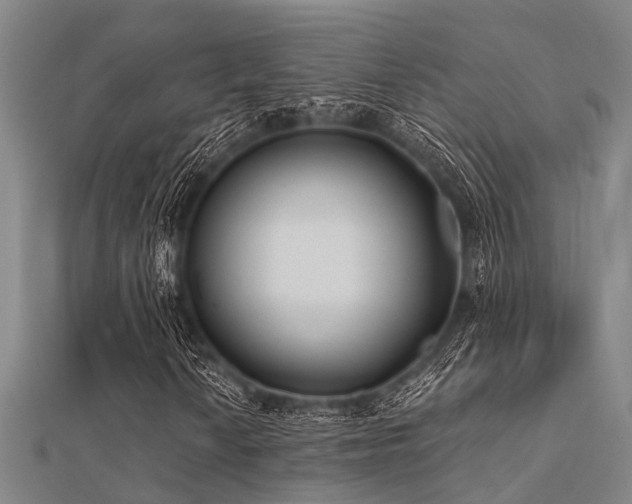 X0000112361010200908131451