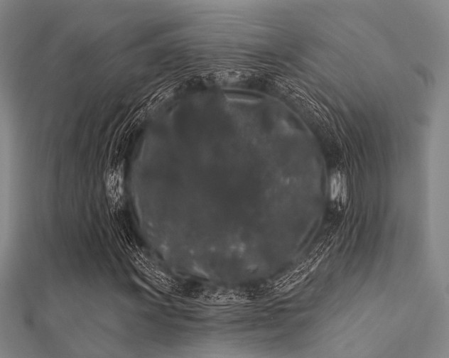 X0000112361011200908131451
