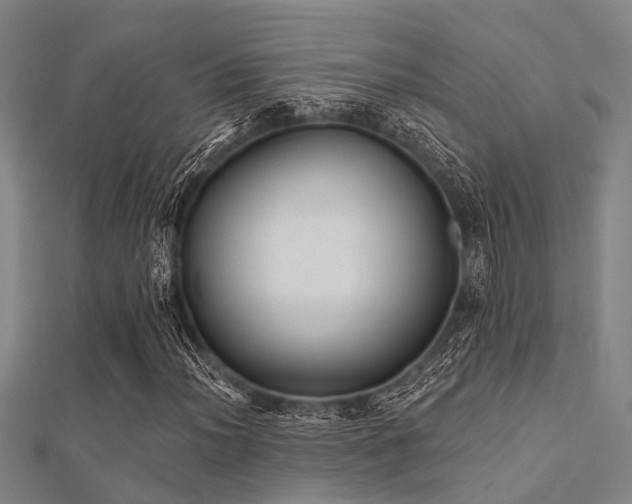 X0000112361012200908131451