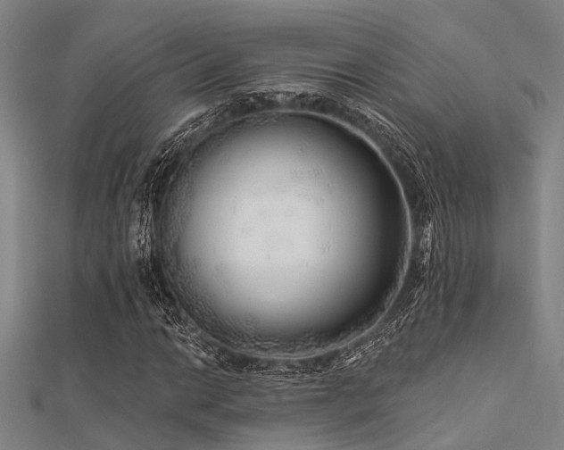 X0000112361014200908131451