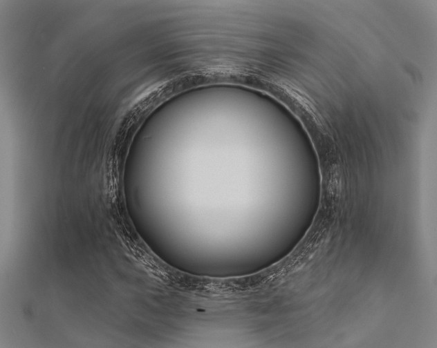X0000112361015200908131451