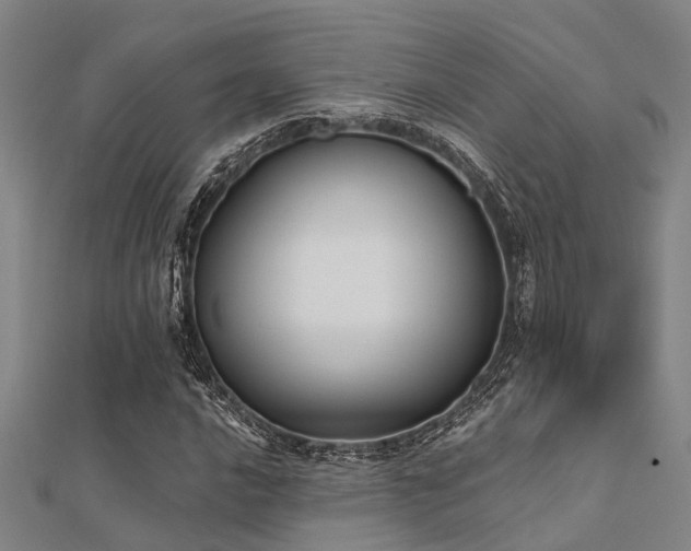 X0000112361016200908131451