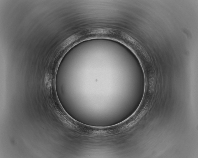 X0000112361017200908131451