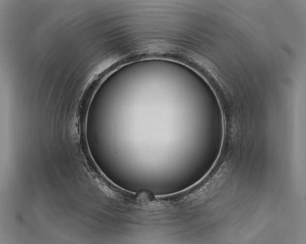 X0000112361018200908131451